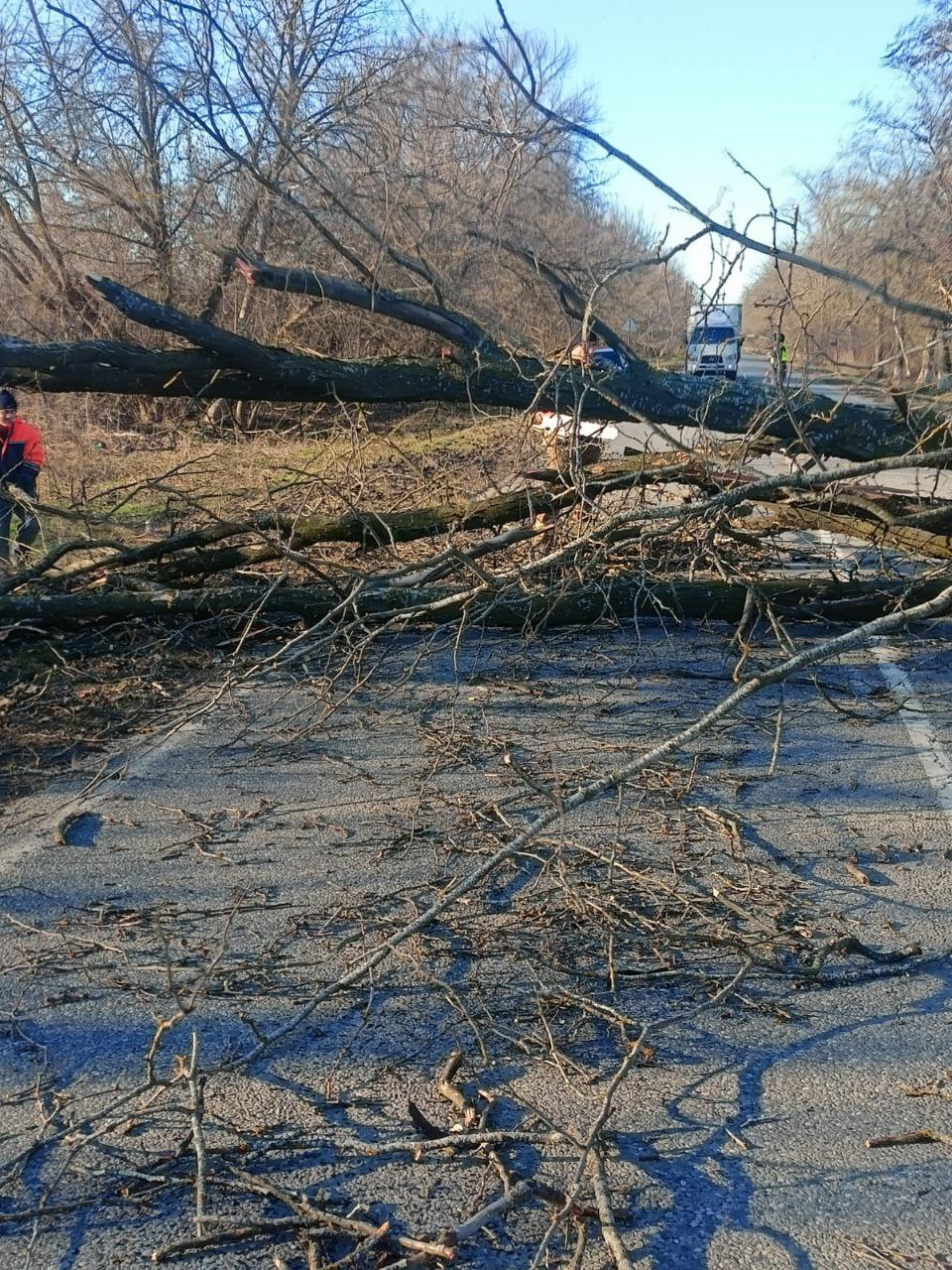 Что упало в ставропольском крае